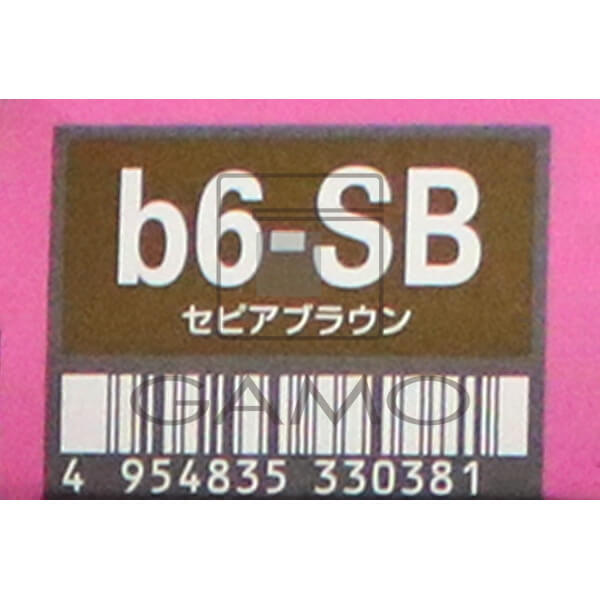 オルディーブ　ボーテ　b6-SB セピアブラウン
