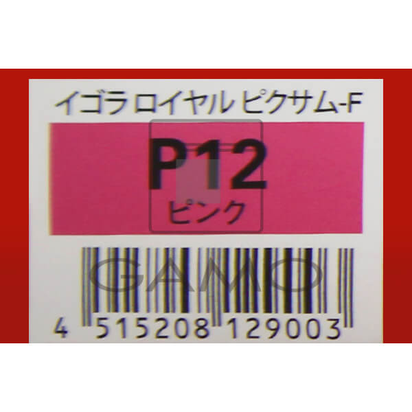イゴラロイヤル　ピクサムF　P12　ピンク