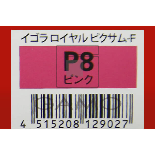 イゴラロイヤル　ピクサムF　P8　ピンク