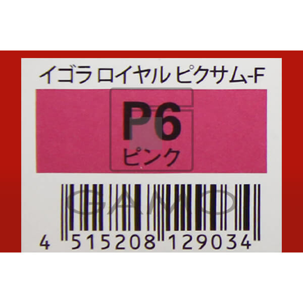 イゴラロイヤル　ピクサムF　P6　ピンク