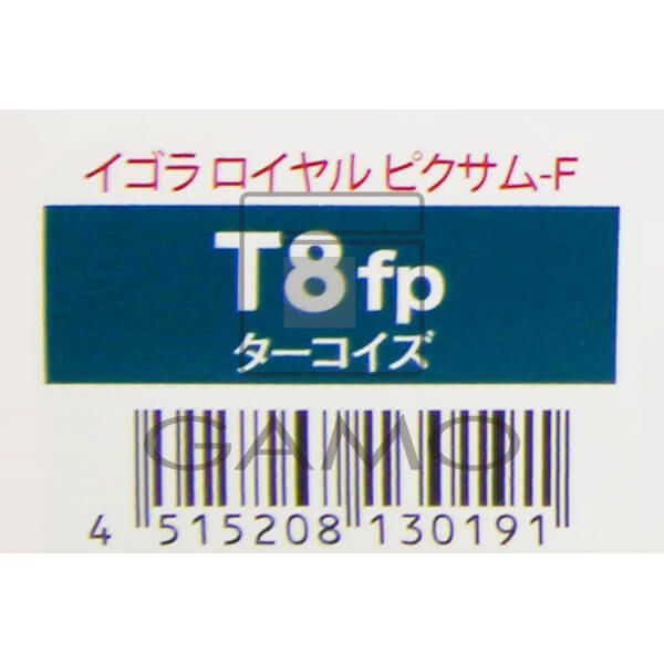ファイバープレックスカラー（fp） イゴラロイヤル　ピクサムF　T8　ターコイズ