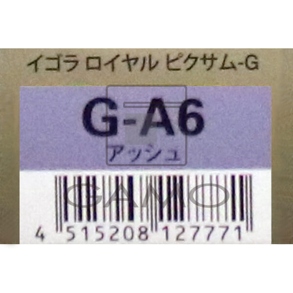 イゴラロイヤル　ピクサムG　G-A6　アッシュ