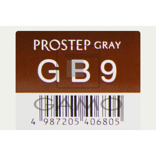ホーユー プロフェッショナル プロステップ　GB9　グレイブラウン