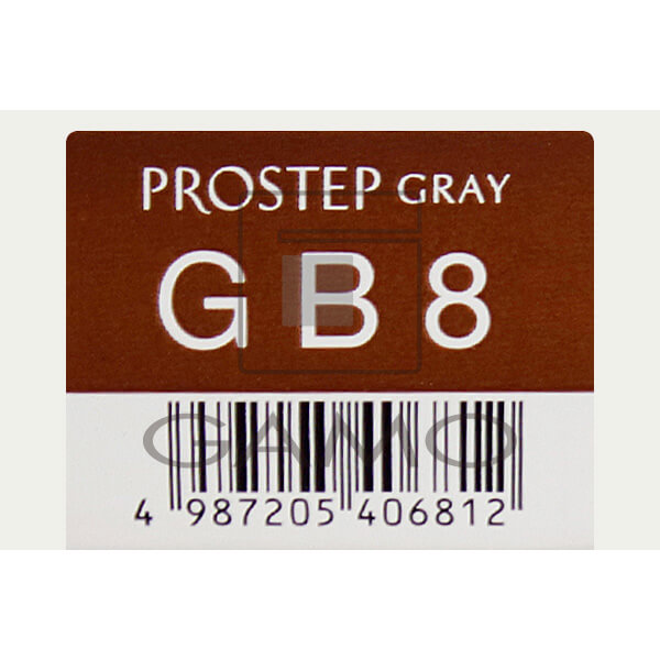 ホーユー プロフェッショナル プロステップ　GB8　グレイブラウン