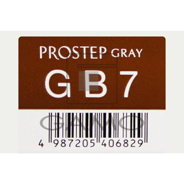 ホーユー プロフェッショナル プロステップ　GB7　グレイブラウン