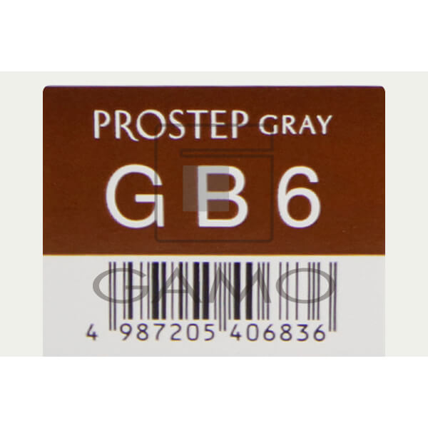 ホーユー プロフェッショナル プロステップ　GB6　グレイブラウン