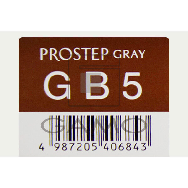 ホーユー プロフェッショナル プロステップ　GB5　グレイブラウン