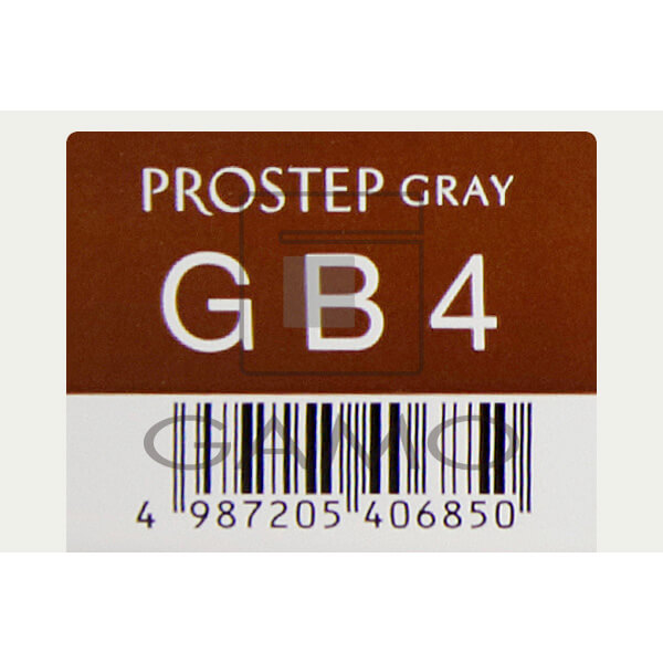 ホーユー プロフェッショナル プロステップ　GB4　グレイブラウン