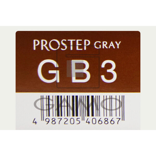 ホーユー プロフェッショナル プロステップ　GB3　グレイブラウン