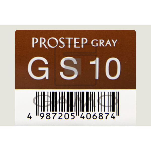プロステップ　GS10　グレイスタンダード
