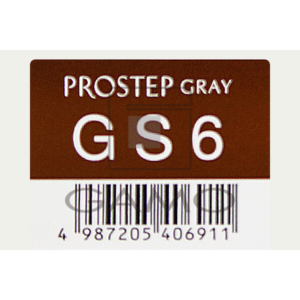 プロステップ　GS6　グレイスタンダード