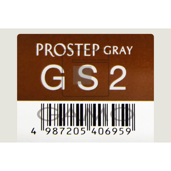 ホーユー プロフェッショナル プロステップ　GS2　グレイスタンダード