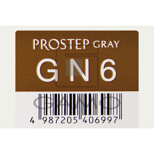 ホーユー プロフェッショナル プロステップ　GN6　グレイナチュラル