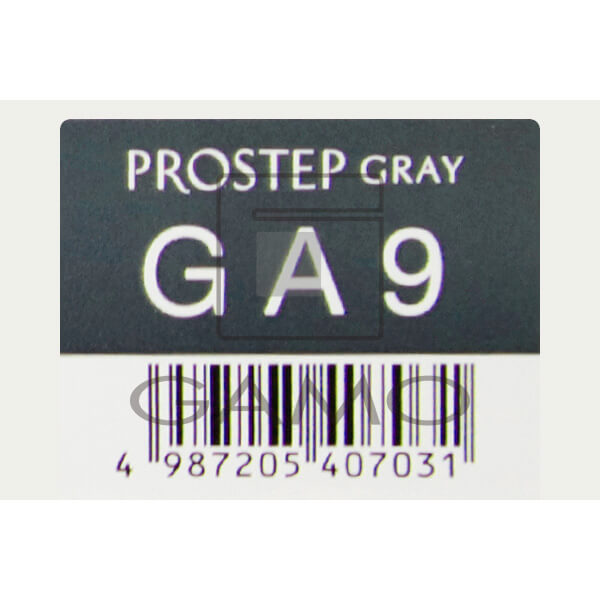 ホーユー プロフェッショナル プロステップ　GA9　グレイアッシュ