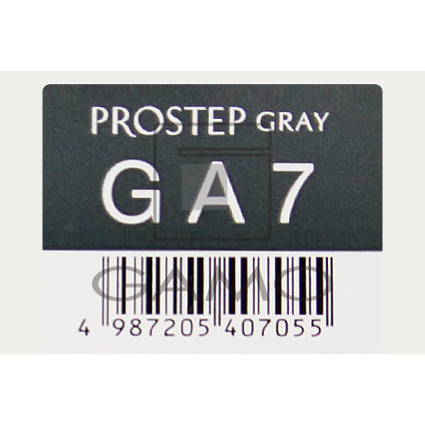 ホーユー プロフェッショナル プロステップ　GA7　グレイアッシュ