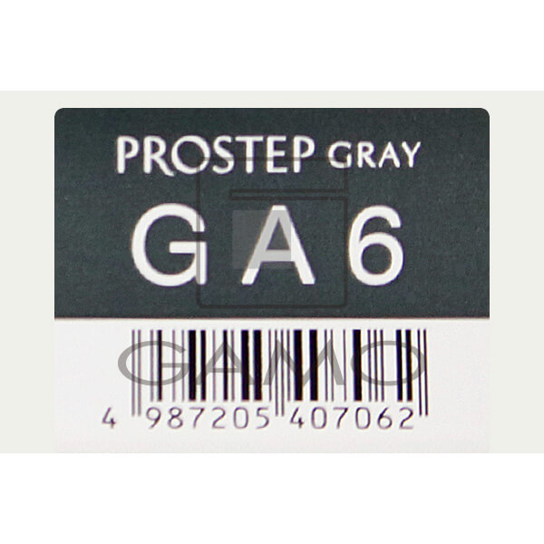 ホーユー プロフェッショナル プロステップ　GA6　グレイアッシュ