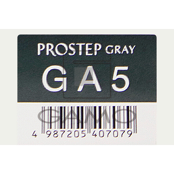 ホーユー プロフェッショナル プロステップ　GA5　グレイアッシュ