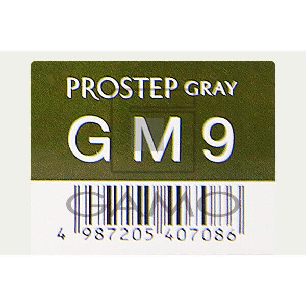 ホーユー プロフェッショナル プロステップ　GM9　グレイマット