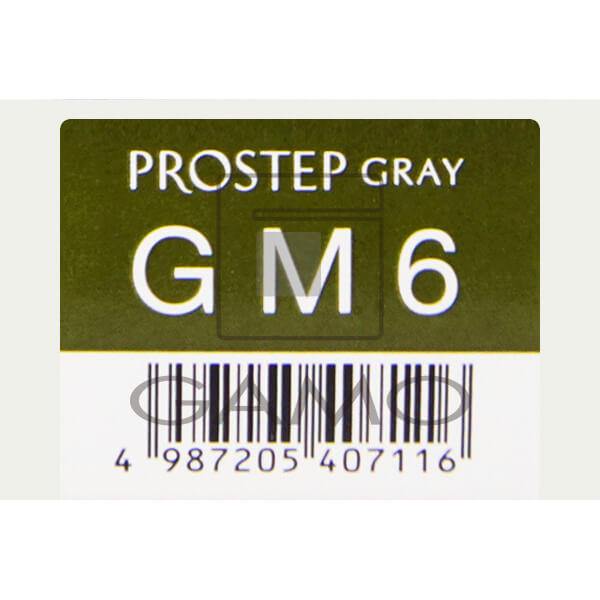 ホーユー プロフェッショナル プロステップ　GM6　グレイマット