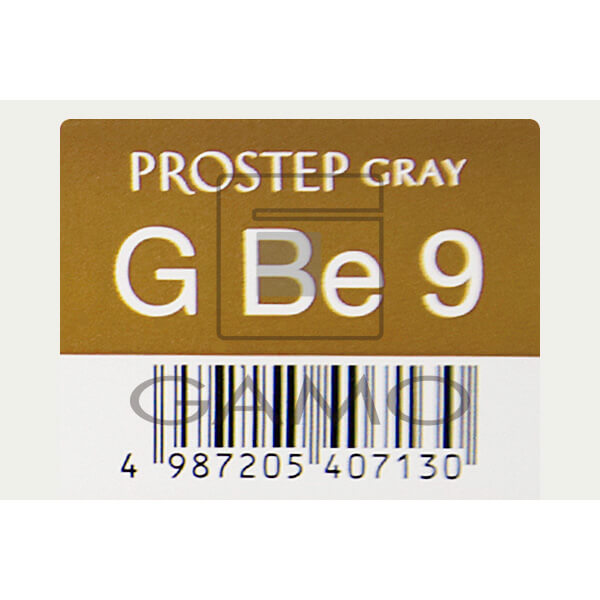 ホーユー プロフェッショナル プロステップ　GBe9　グレイベーシュ　