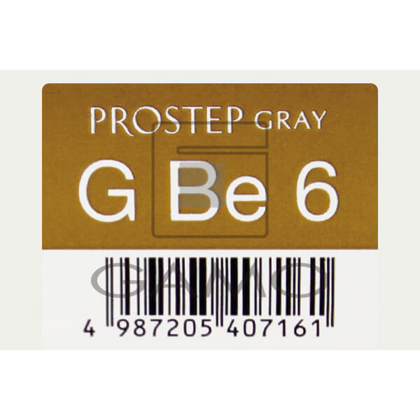 ホーユー プロフェッショナル プロステップ　GBe6　グレイベーシュ