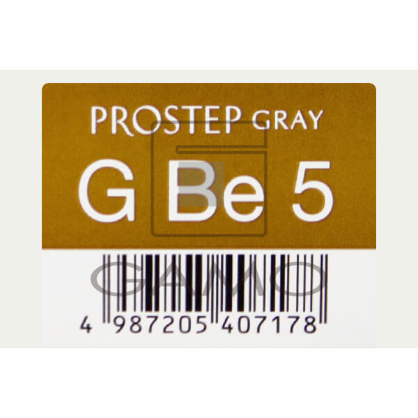 プロステップ　GBe5　グレイベーシュ　