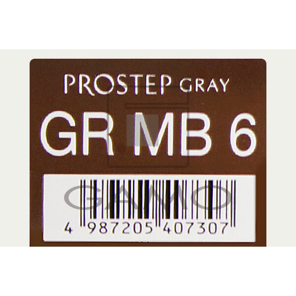 ホーユー プロフェッショナル プロステップ　GR MB6　グレイリッチ マロンブラウン