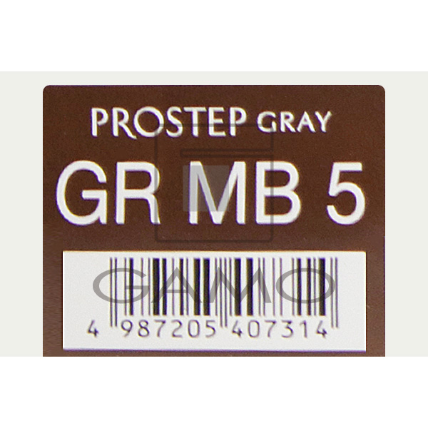 ホーユー プロフェッショナル プロステップ　GR MB5　グレイリッチ マロンブラウン