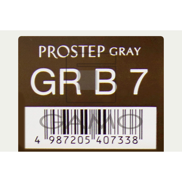 ホーユー プロフェッショナル プロステップ　GR B7　グレイリッチ ブラウン