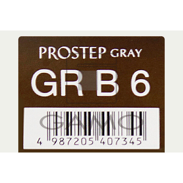 ホーユー プロフェッショナル プロステップ　GR B6　グレイリッチ ブラウン