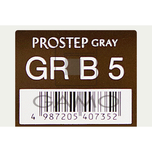 プロステップ　GR B5　グレイリッチ ブラウン