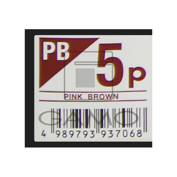 中野製薬 キャラデコ　パブェ　PB5p　ピンクブラウン