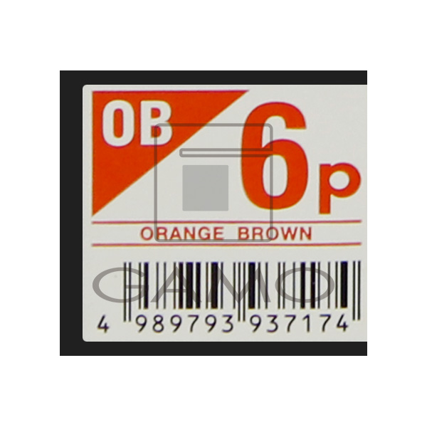 中野製薬 キャラデコ　パブェ　OB6p　オレンジブラウン