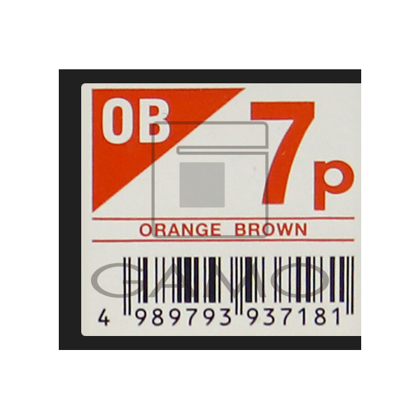 中野製薬 キャラデコ　パブェ　OB7p　オレンジブラウン