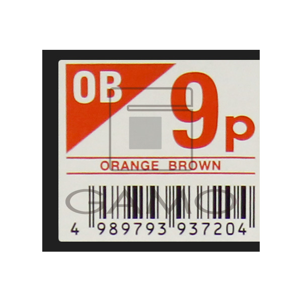 中野製薬 キャラデコ　パブェ　OB9p　オレンジブラウン