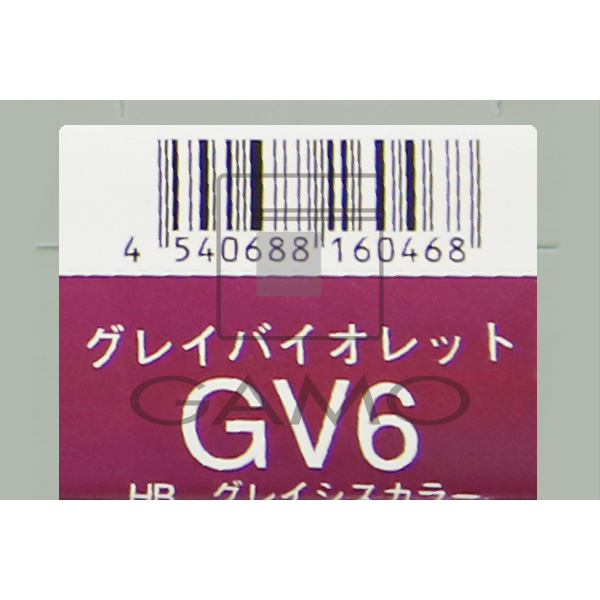 HBグレイシスカラー　GV6　グレイバイオレット