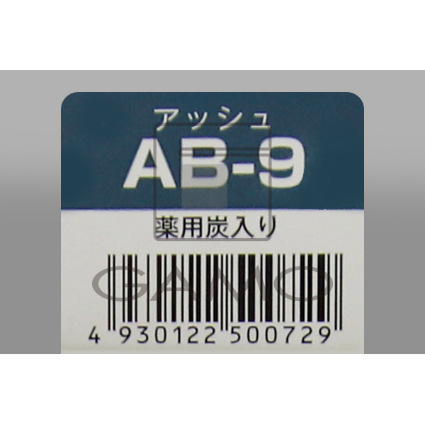 ヘアテックジャパン アンヴィエカラー　AB-9　アッシュ